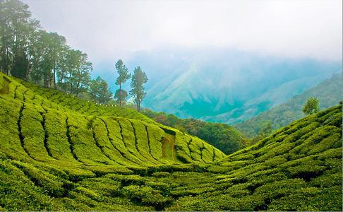Munnar Dreams Hotel Eksteriør billede