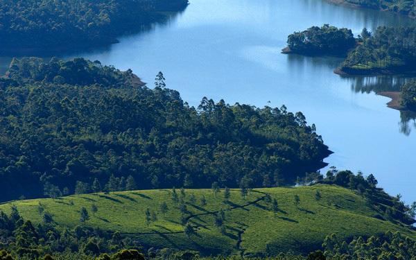 Munnar Dreams Hotel Eksteriør billede